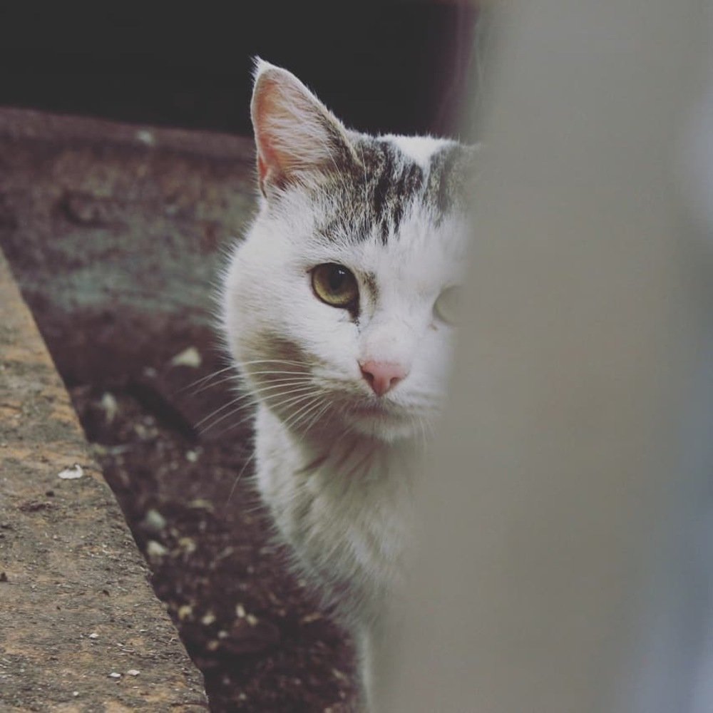 Photograph by Данил Исхаков