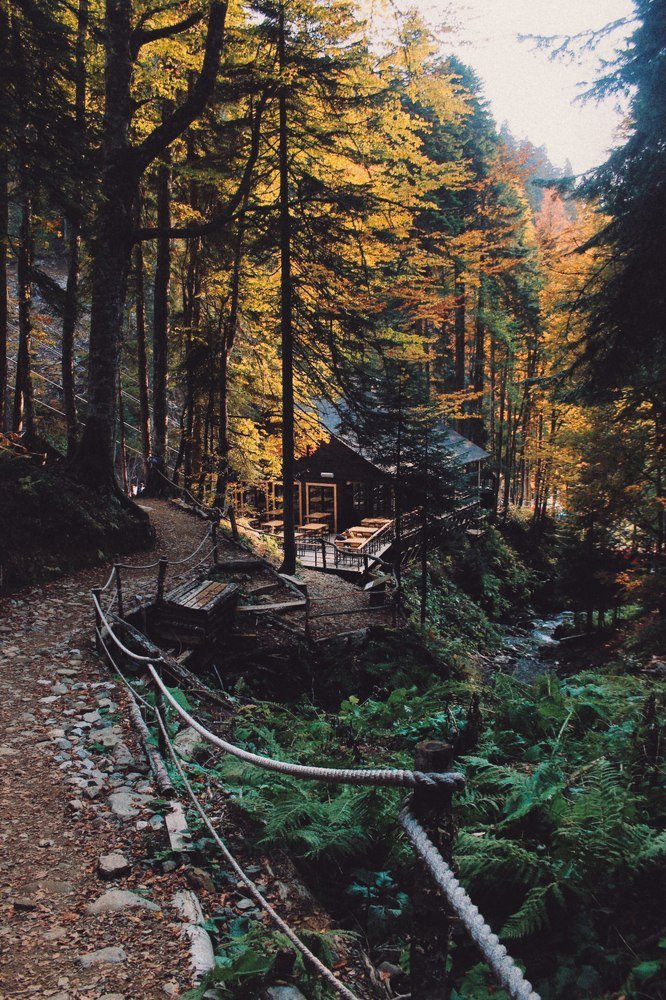 Photograph by Мария Сердечная