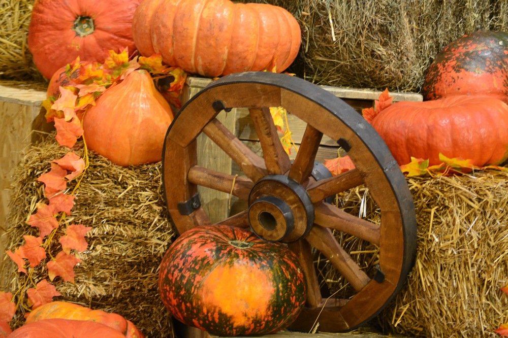 Деревенский натюрморт