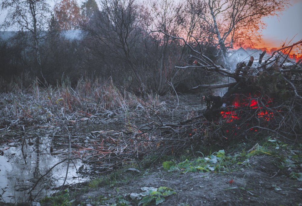 Photograph by Светлана Боброва