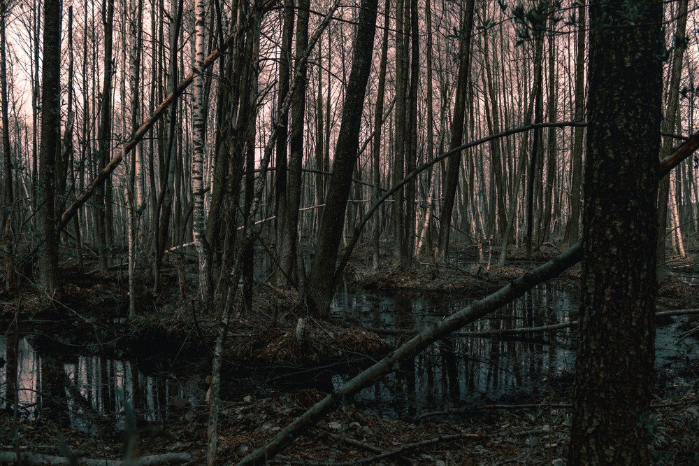 Photograph by Дмитрий Михеев