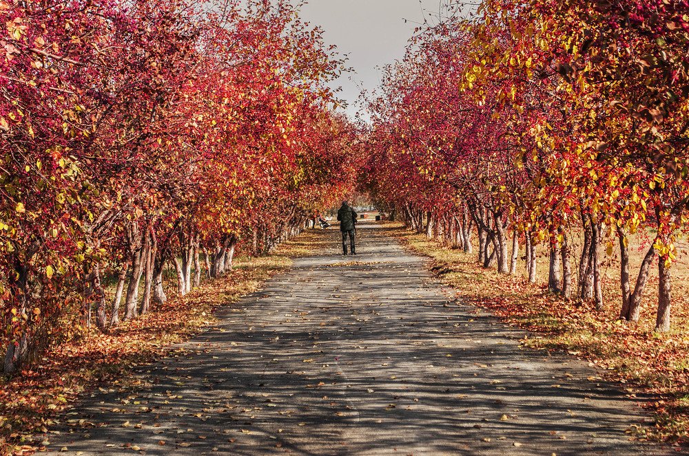 Photograph by Светлана Боброва