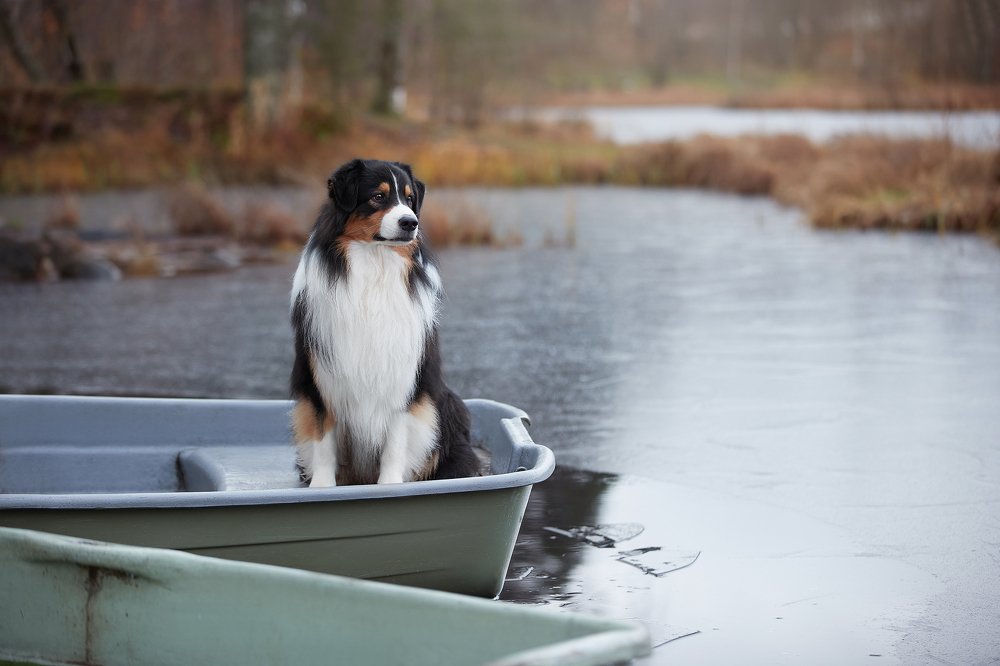 Photograph by Лана Полякова
