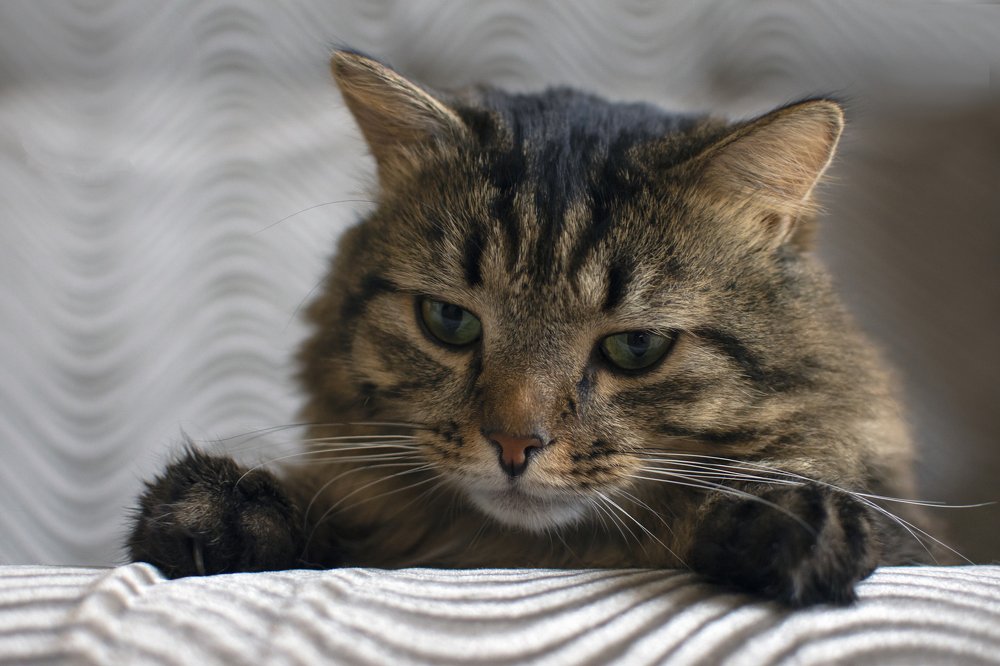 Photograph by Мария Теос