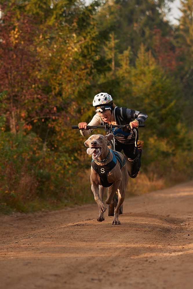 Photograph by Лана Полякова