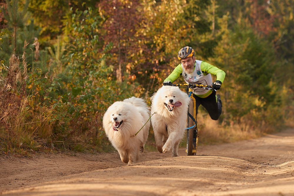 Photograph by Лана Полякова