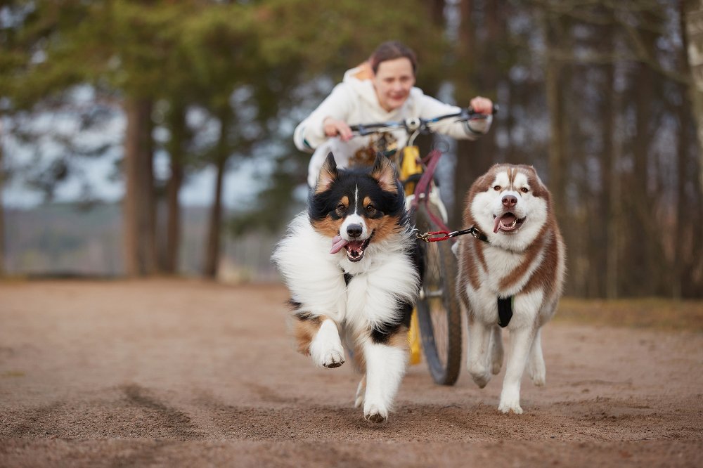 Photograph by Лана Полякова