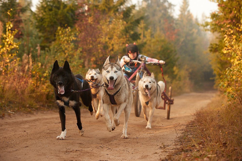 Photograph by Лана Полякова