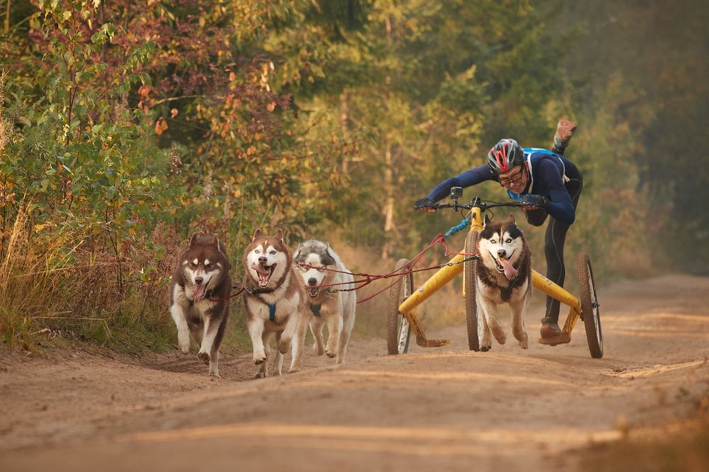 Photograph by Лана Полякова