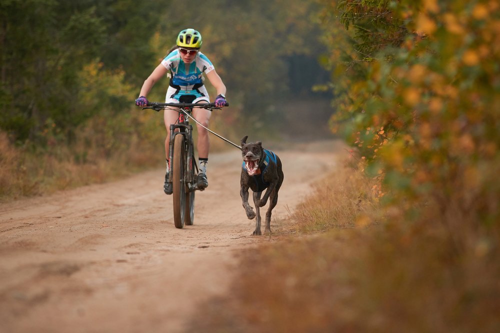 Photograph by Лана Полякова