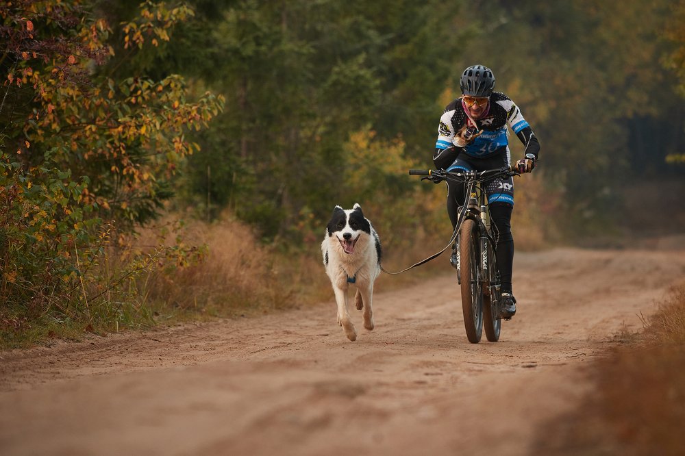 Photograph by Лана Полякова