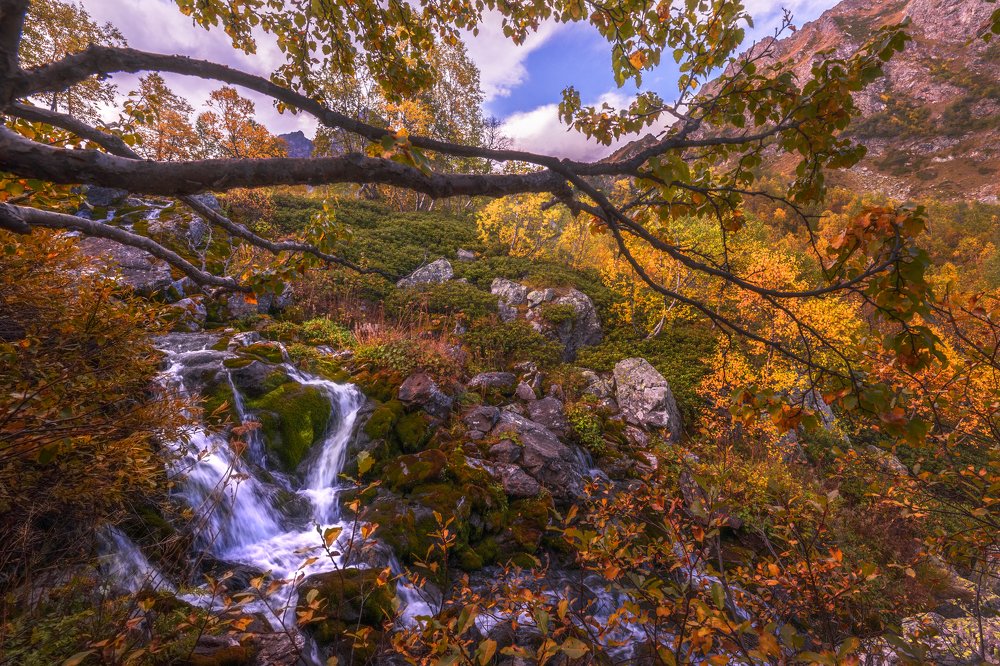 Photograph by ОЛЬГА КОВАЛЁВА