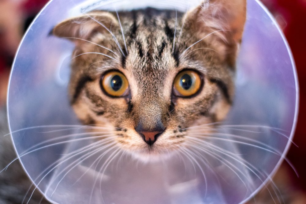 Photograph by Оксана Казакова