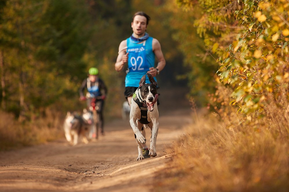 Photograph by Лана Полякова