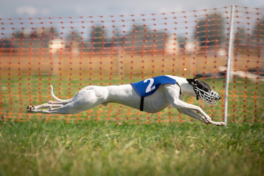 Photograph by Лана Полякова