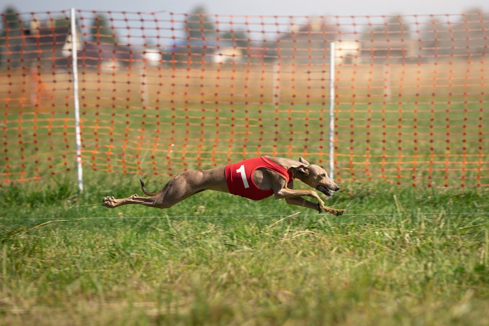 Photograph by Лана Полякова