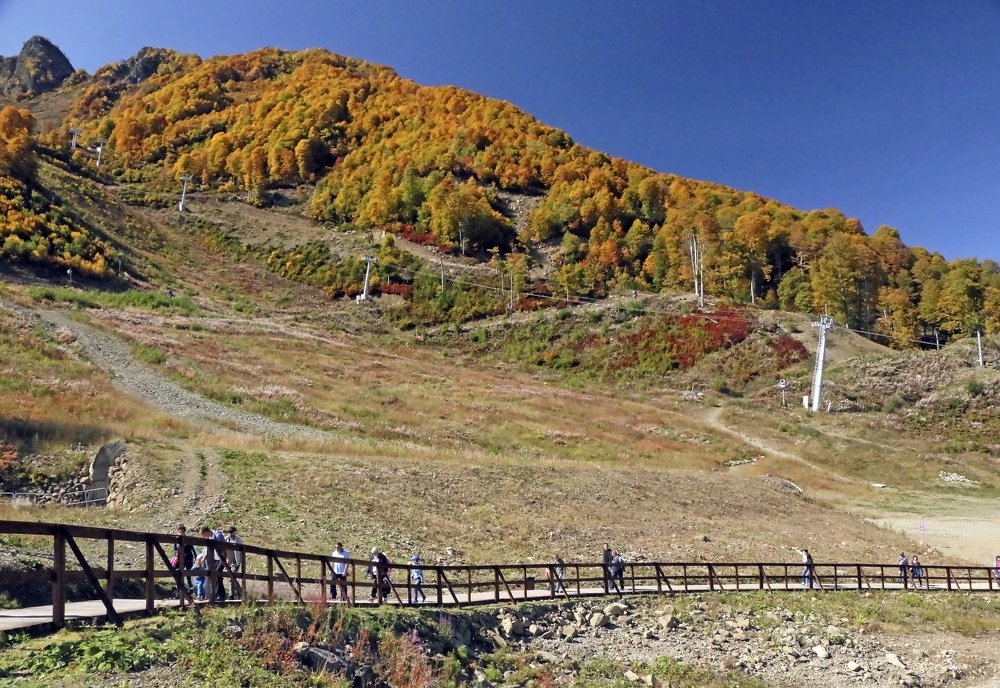 Photograph by Александр Пузиков