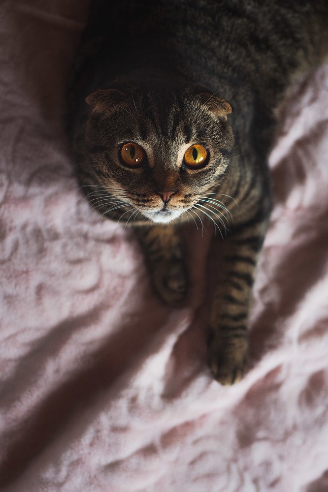 Photograph by Евгения Тарасова