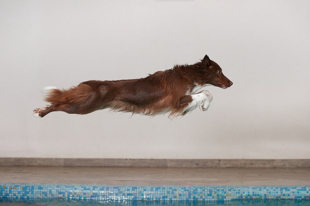 Photograph by Лана Полякова