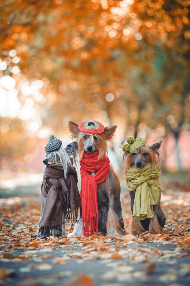 Фотография автора Дарина Матасова