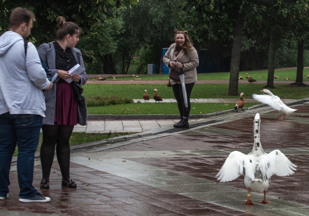 Photograph by Михаил Мальцев