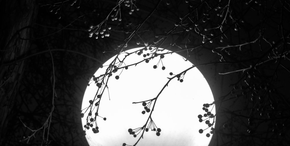 Луна по имени Фонарь