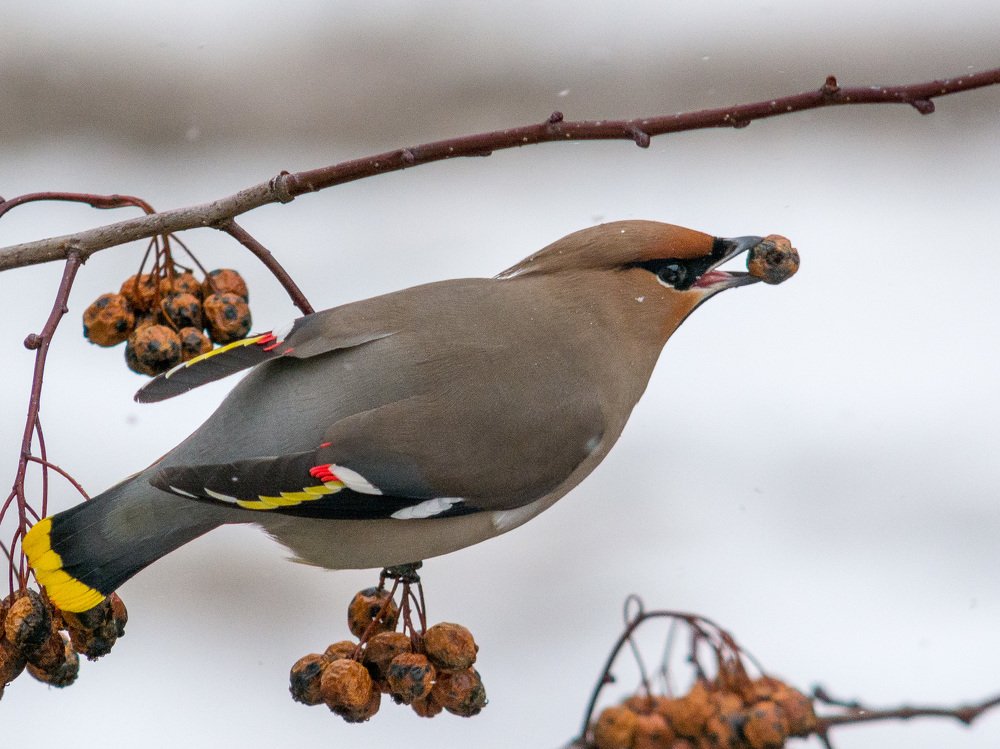 Photograph by Анастасия Попельская