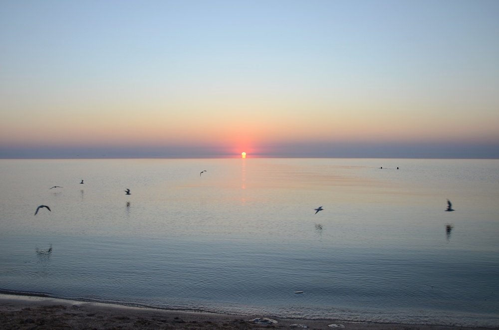 Photograph by Ирина Никитина