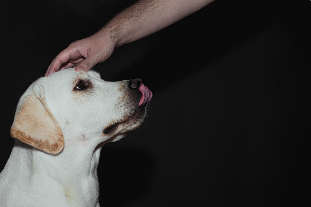 Photograph by Евгения Тарасова