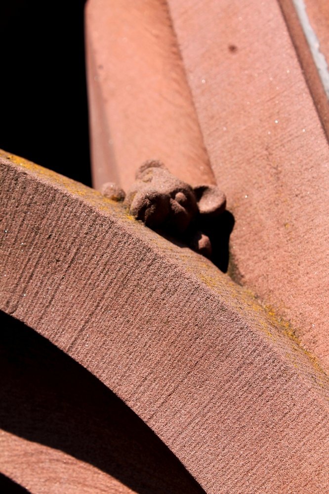 Photograph by Диана Ульянцева