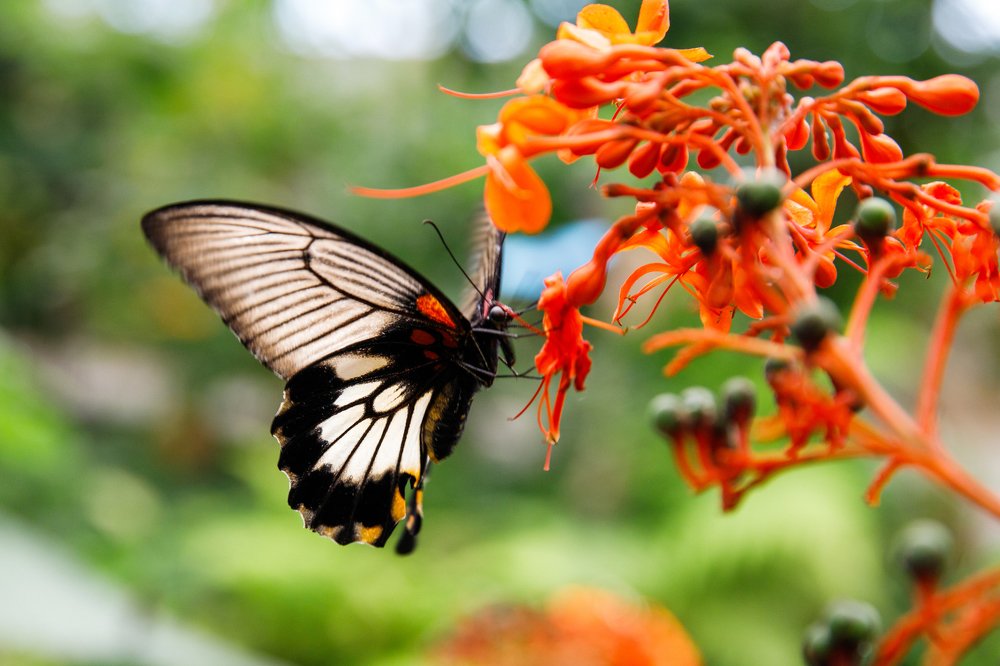 Фотография автора Гудкова Светлана
