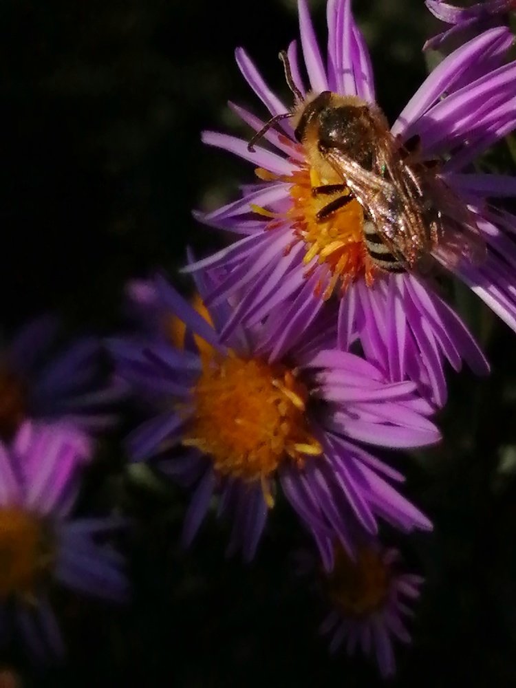 Photograph by Ольга Мокрова