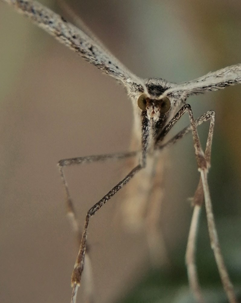 Photograph by Ольга Мокрова