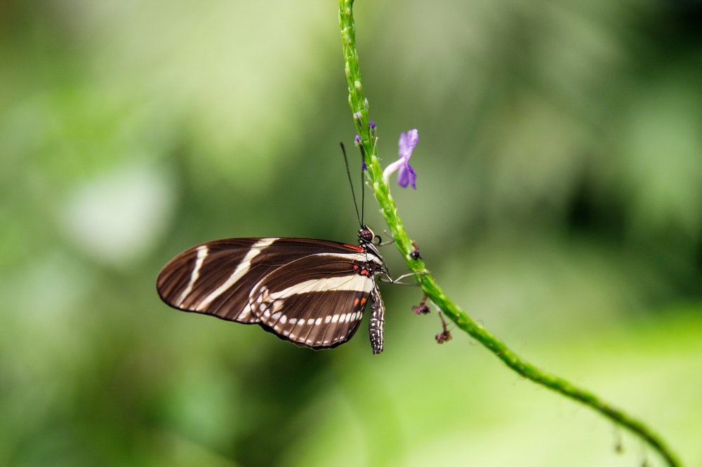 Фотография автора Гудкова Светлана