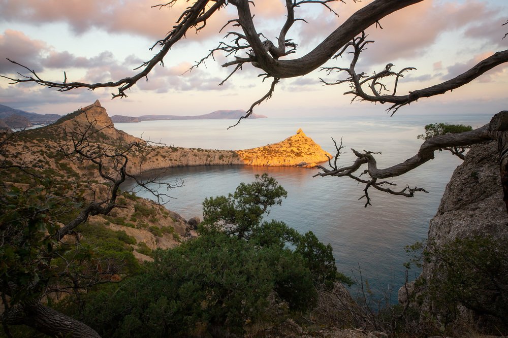 Photograph by Станислав Аристов