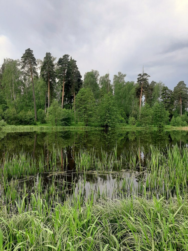 Photograph by Алина Голубева