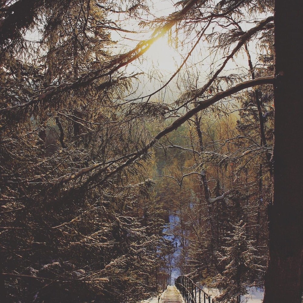 Photograph by Данил Исхаков