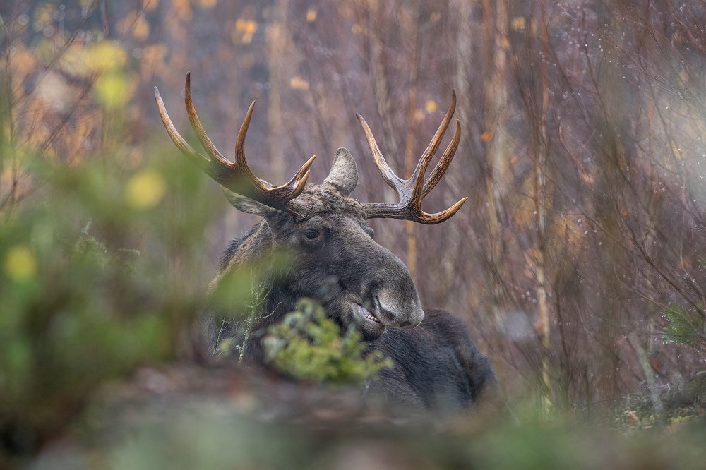 Photograph by Dariusz Dryl