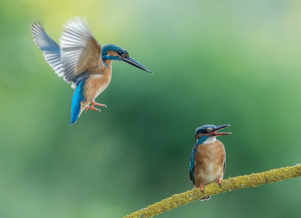 Photograph by Dariusz Dryl