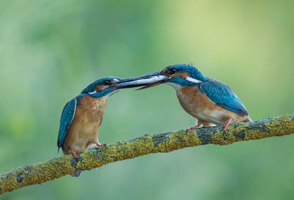 Photograph by Dariusz Dryl