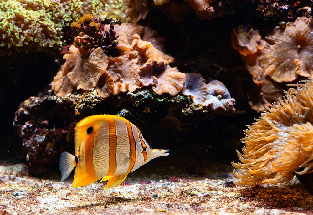 Photograph by Юлия Борт