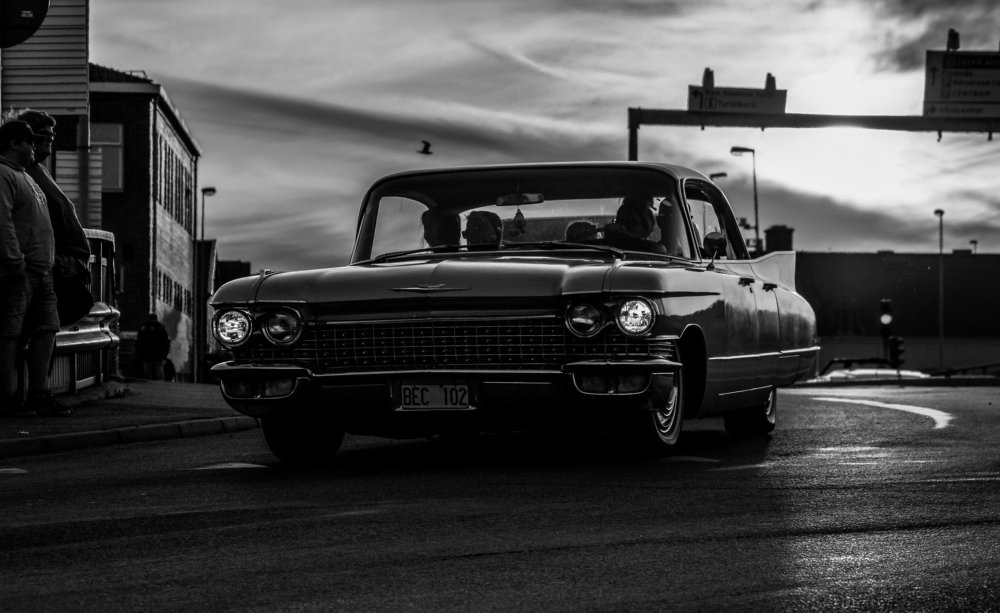 Photograph by Daniel Beckman