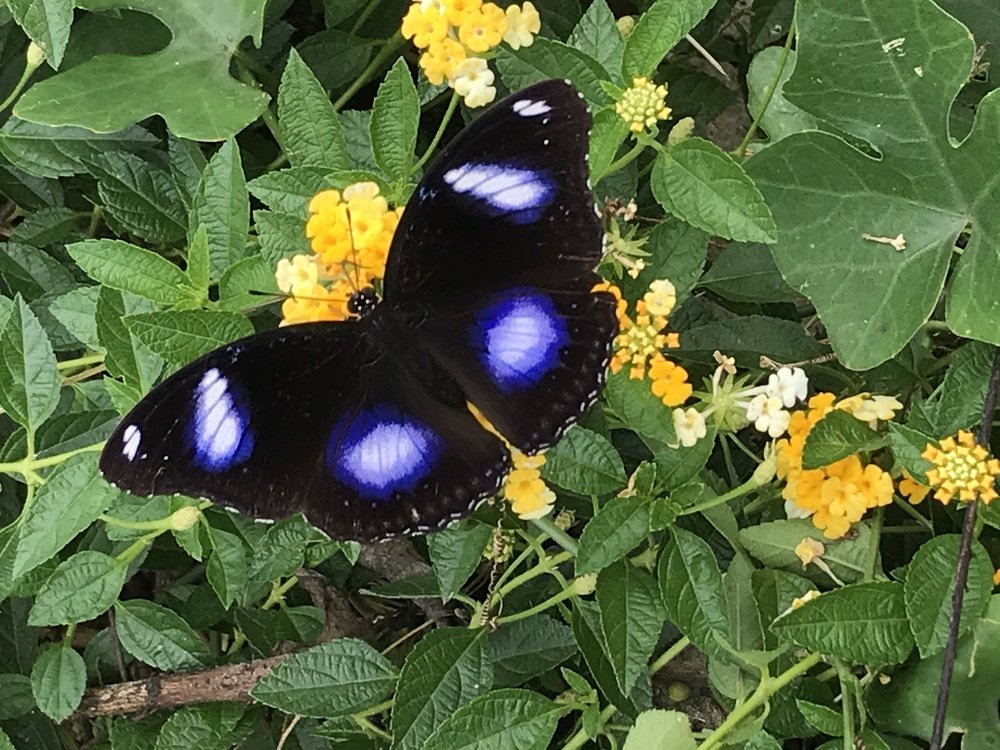 Photograph by Deasy Junita Dhani Hidayana