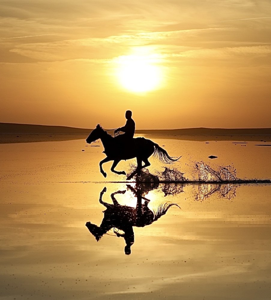 Photograph by Ольга Одаренко