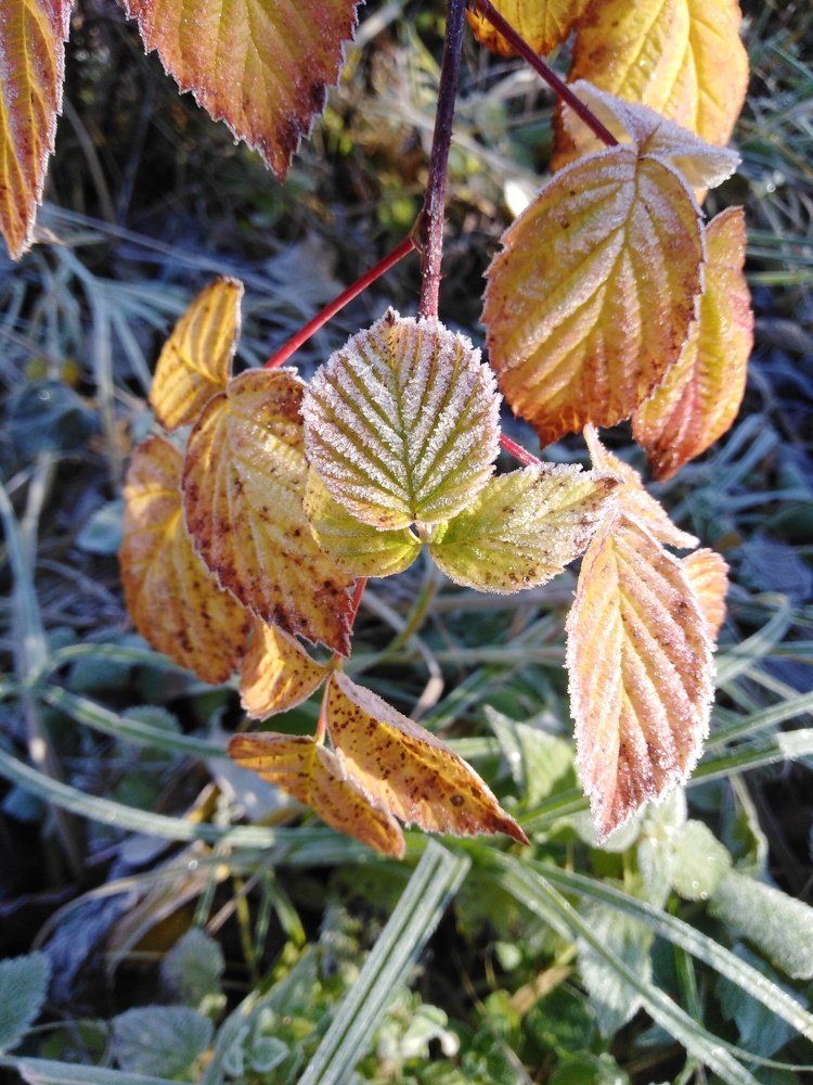 Photograph by Татьяна Ситникова