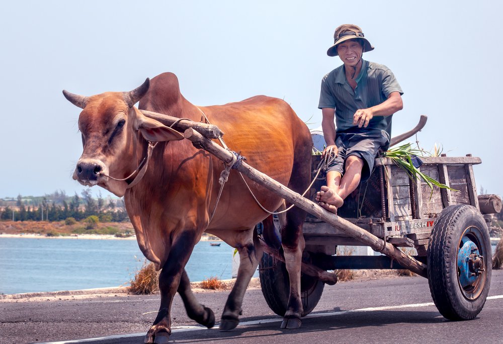Photograph by юрий ященко