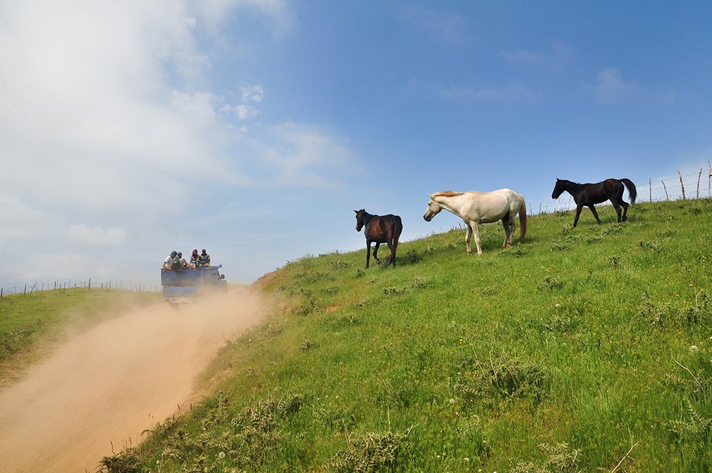 Фотография автора Erfan Rabiei dastjerdi