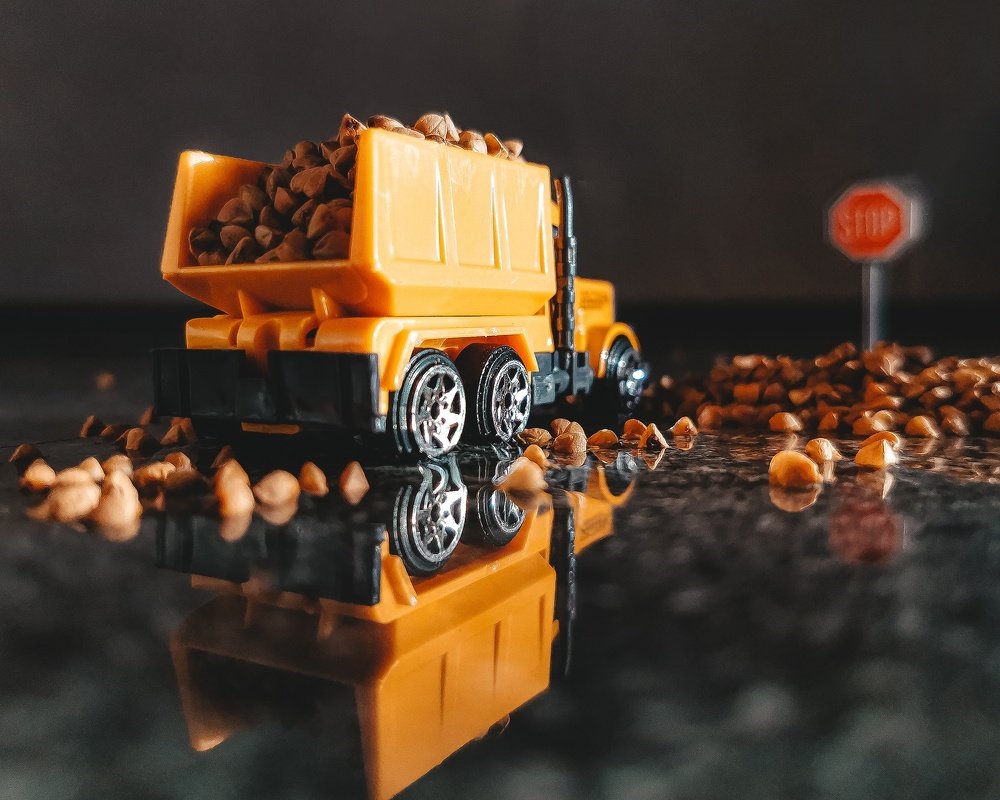 Фотография автора Дмитрий Фёдоров