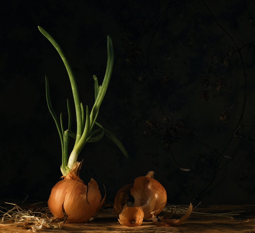 Photograph by Viktoria Alaküla