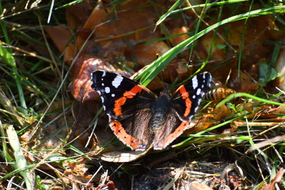 Photograph by Laila Ditmane